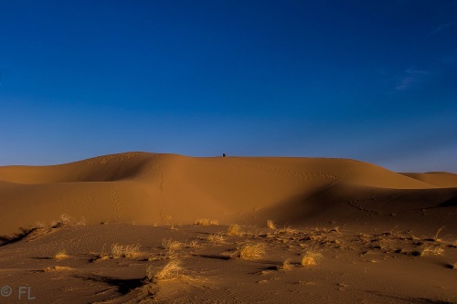Anja in der Wüste